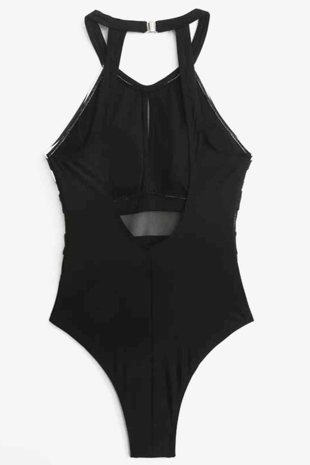 Sheer Sleek One-Piece Swimsuit