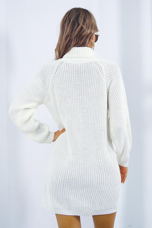 Turtleneck Sweater Dress